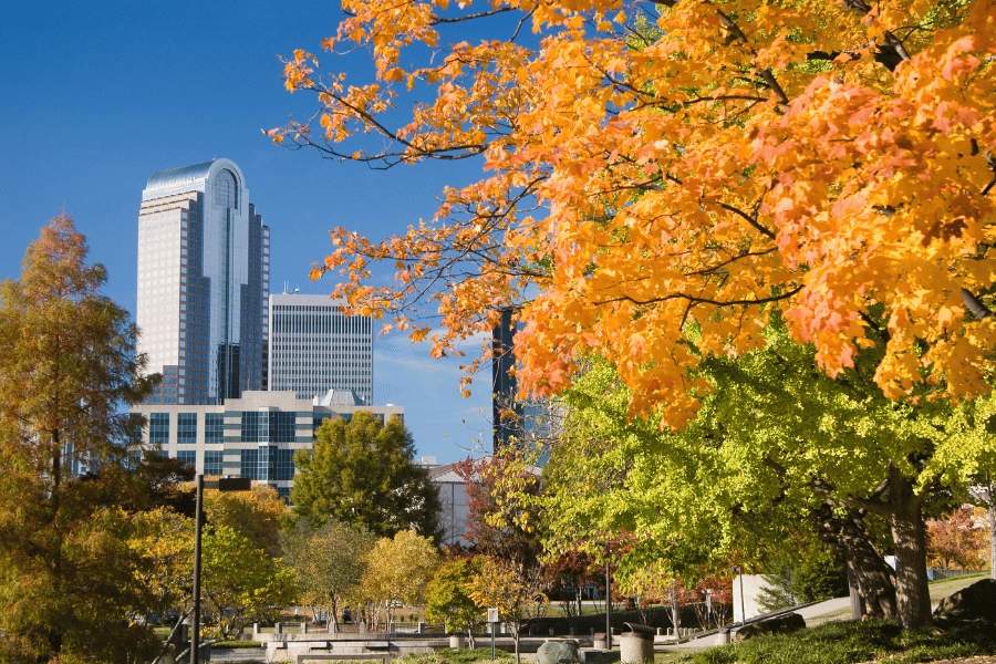 Beautiful orange fall foliage in Charlotte, NC 